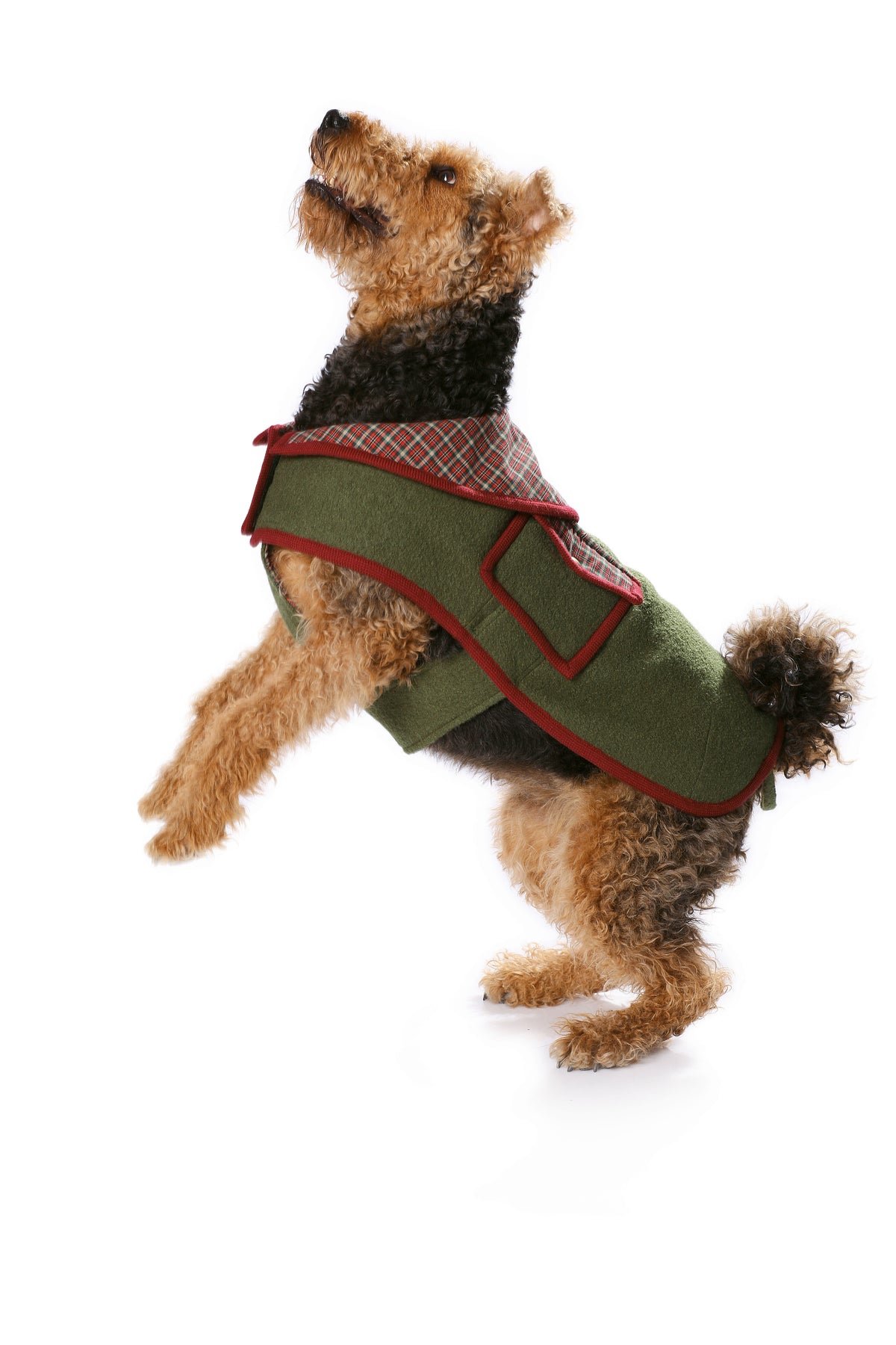Patron Burda n°7752 - Manteau pour chien