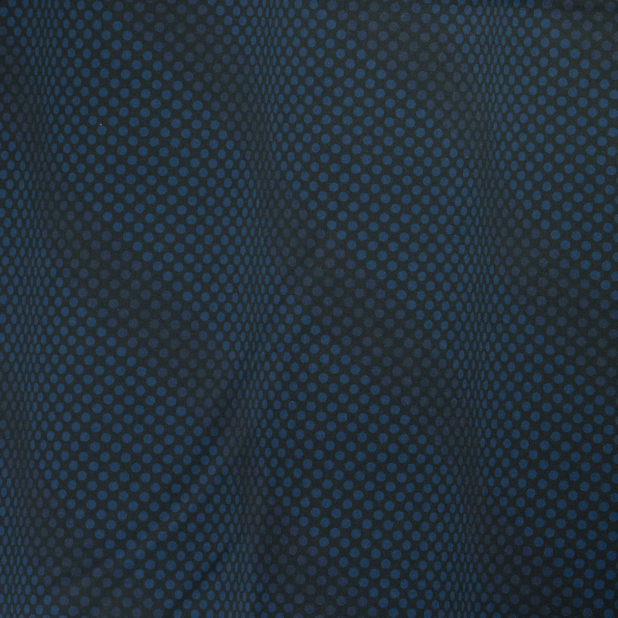 Popeline 100% coton – Pois bleu fond vert