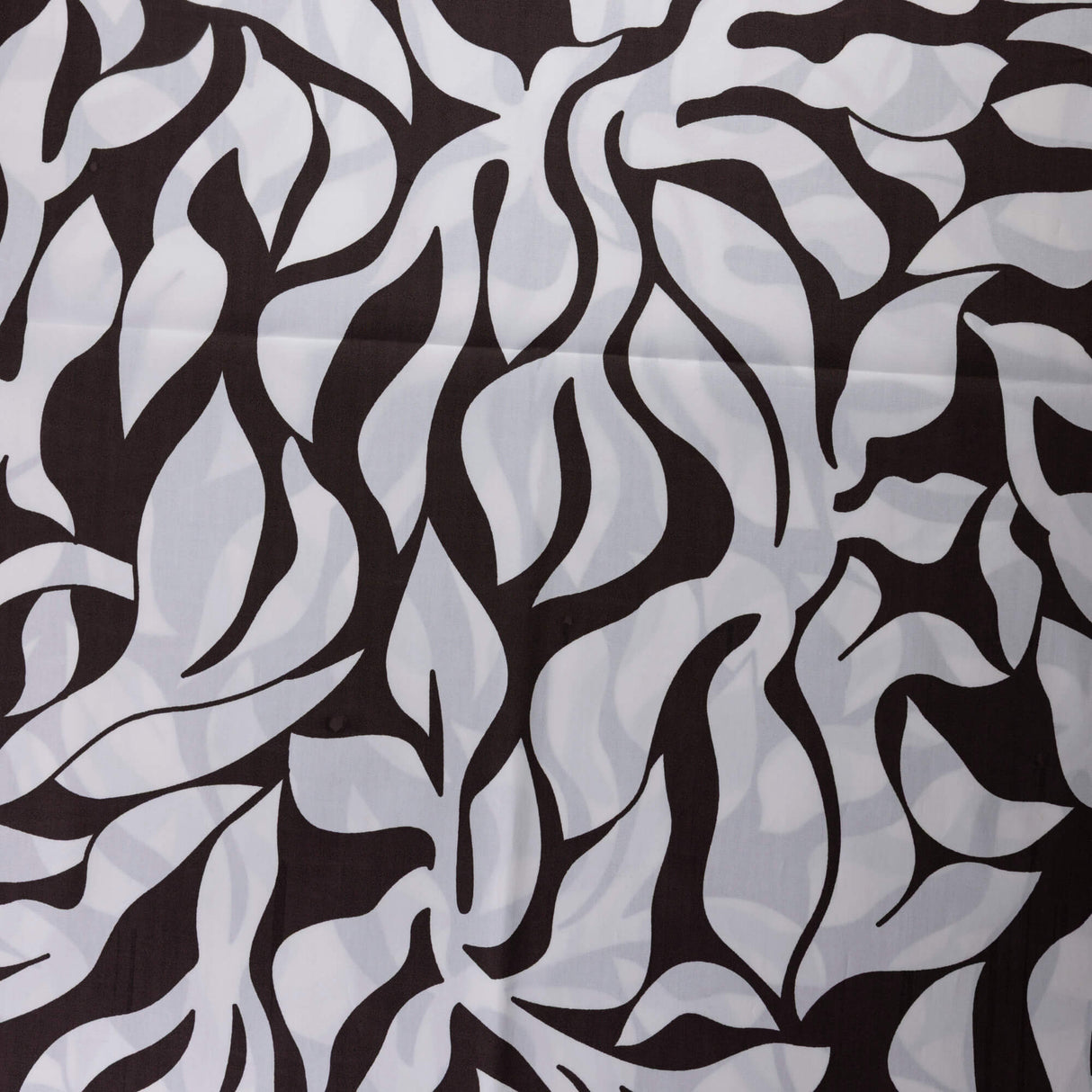 Popeline 100% coton – Feuilles marron fond blanc