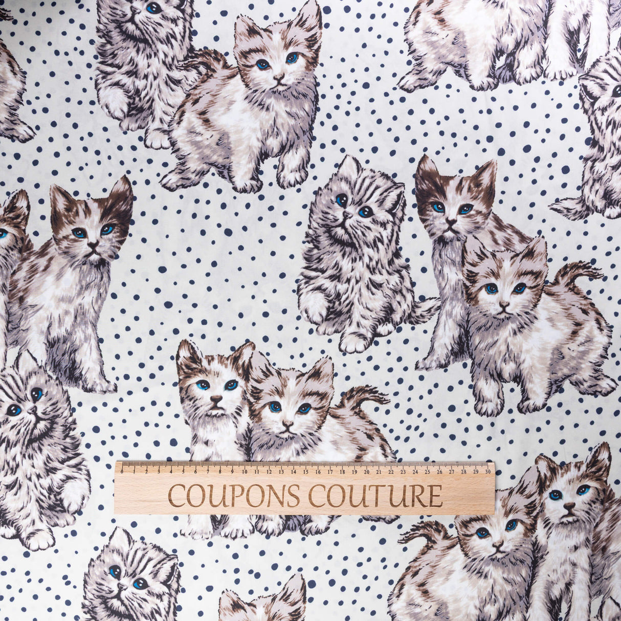 Twill imprimé – Chatons aux yeux bleus