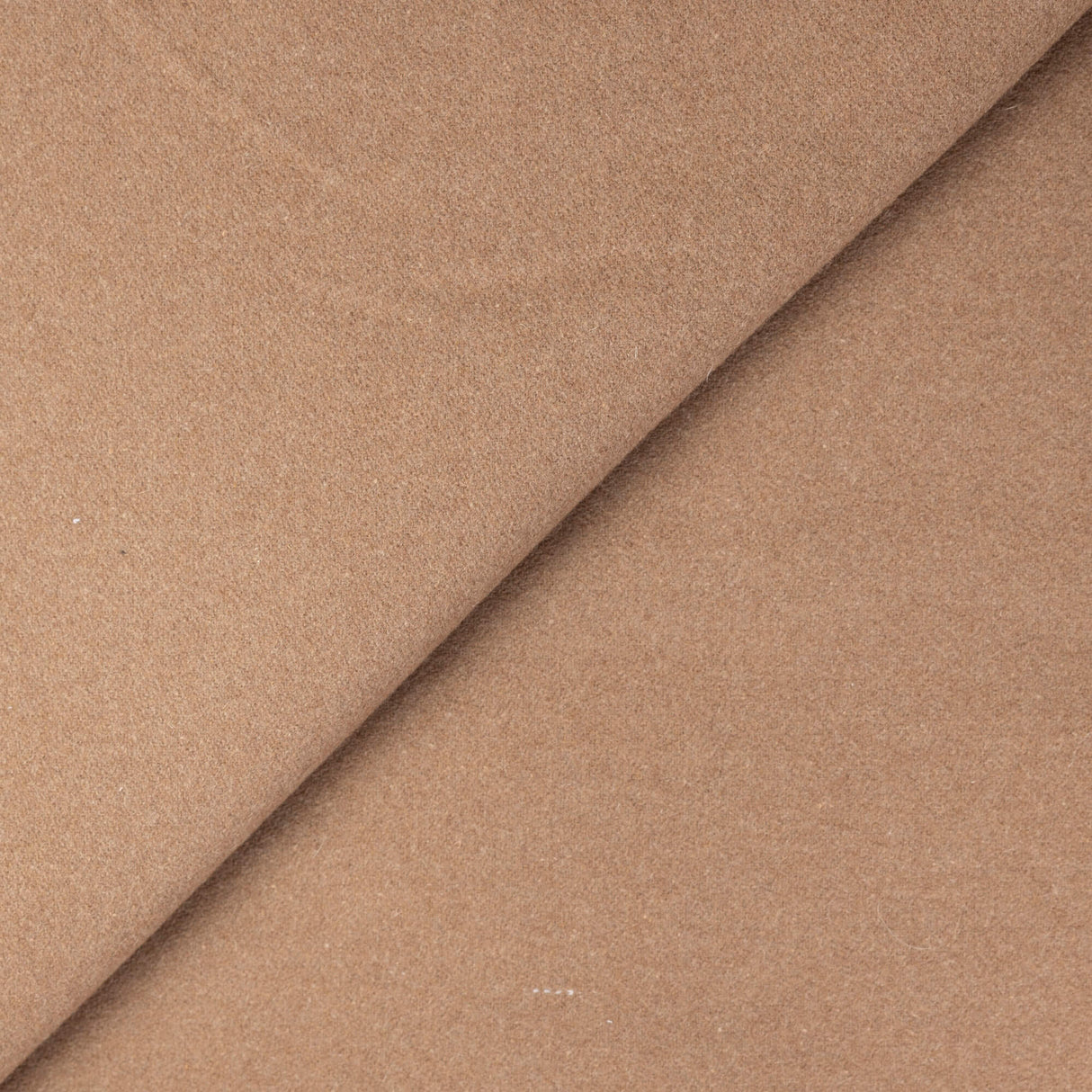 Velours de laine - Camel