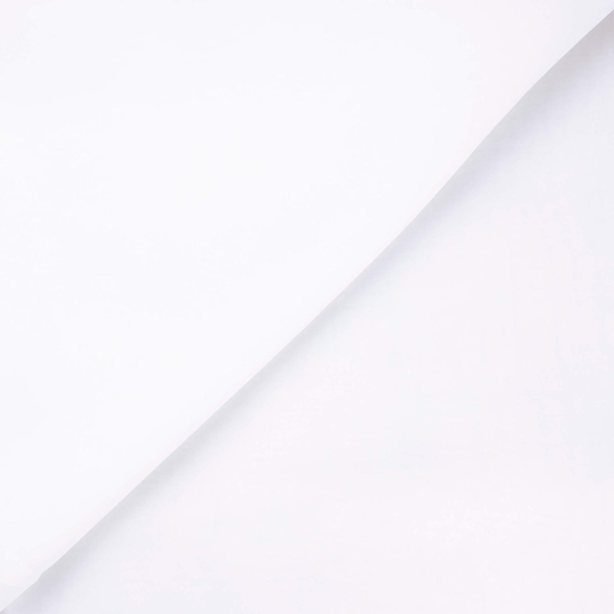 Organza 100% soie - Blanc cassé
