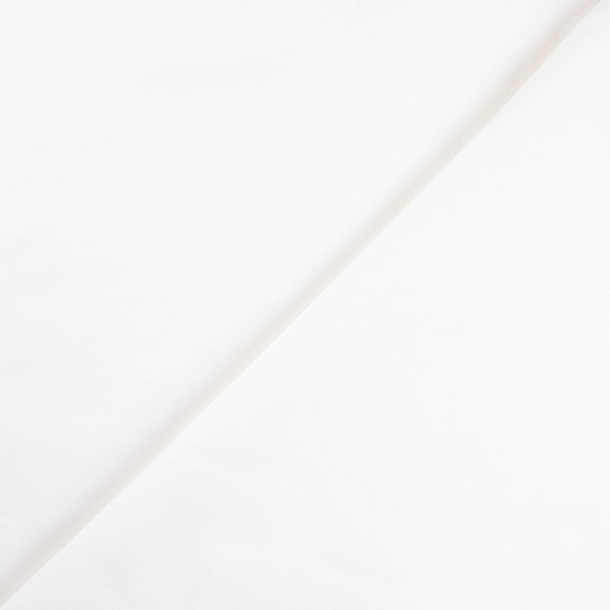 Molleton gratté 100% coton - Blanc cassé