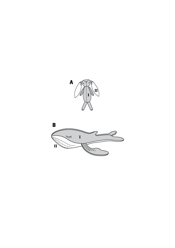 Patron Burda n°6044 – Peluches lapin et baleine