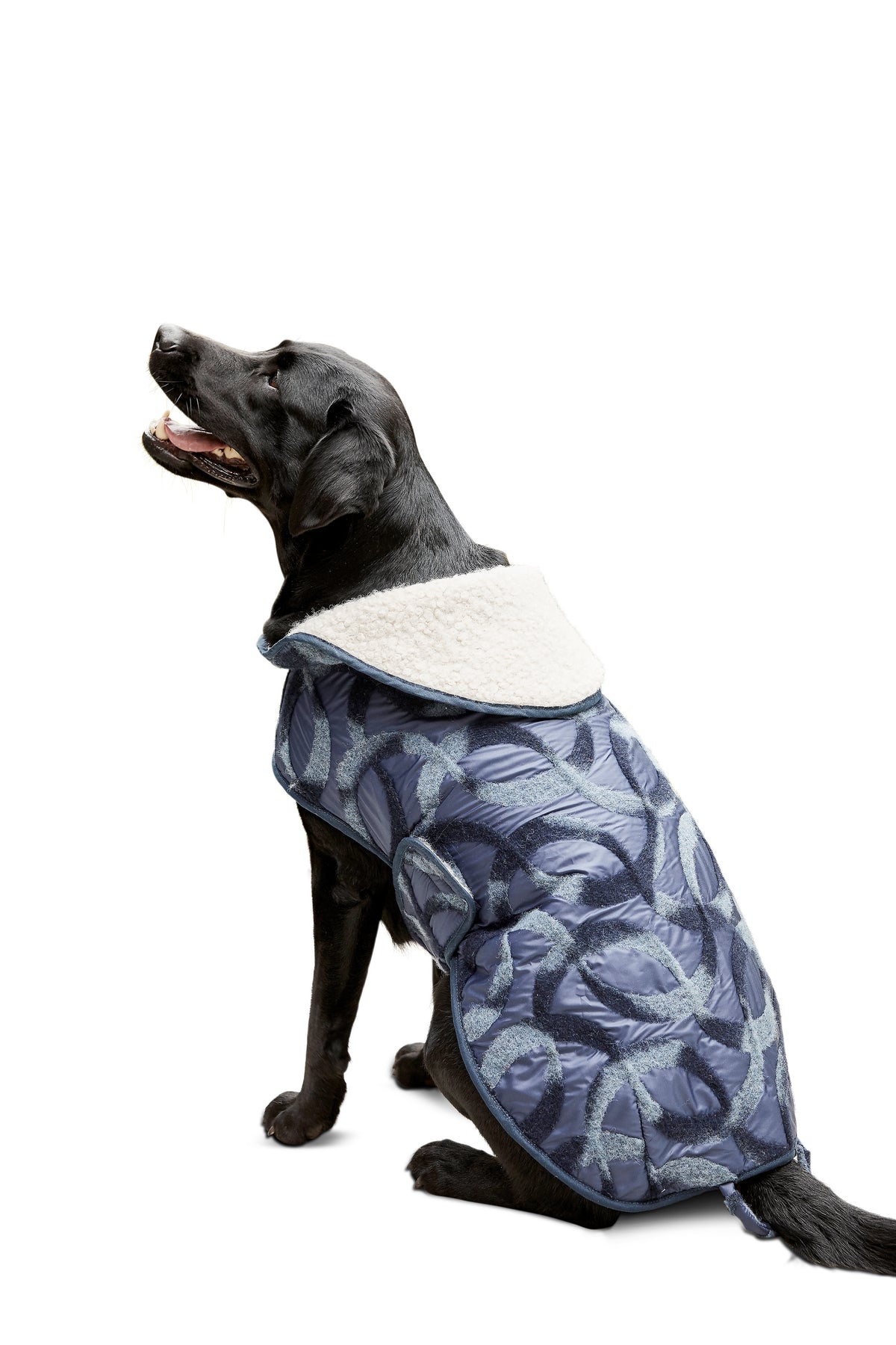 Patron Burda n°6049 – Manteau pour chien
