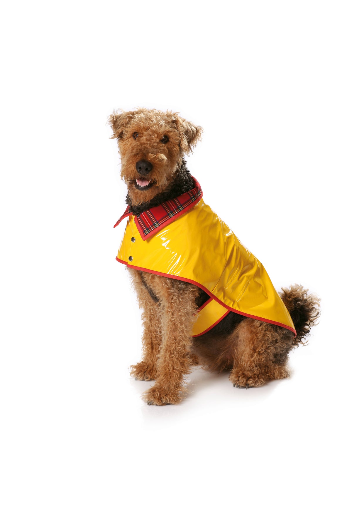 Patron Burda n°7752 - Manteau pour chien