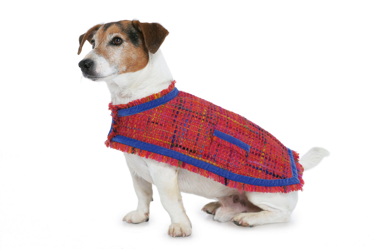 Patron Burda n°7752 - Manteau pour chien
