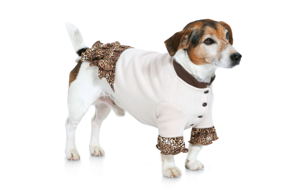 Patron Burda n°7752 - Manteau pour chien