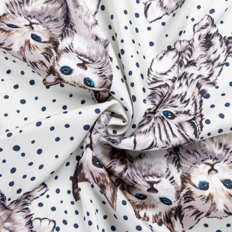 Twill imprimé – Chatons aux yeux bleus